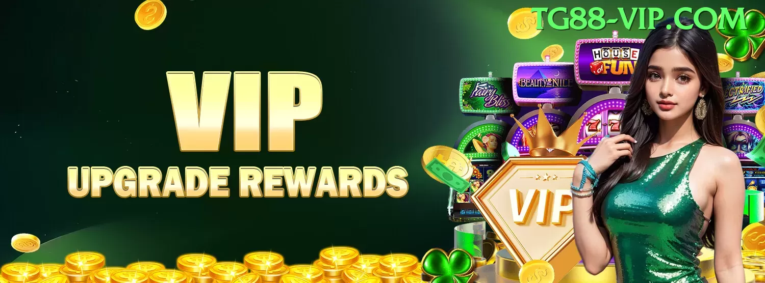Experiência VIP ngr88 - 🔥 apk