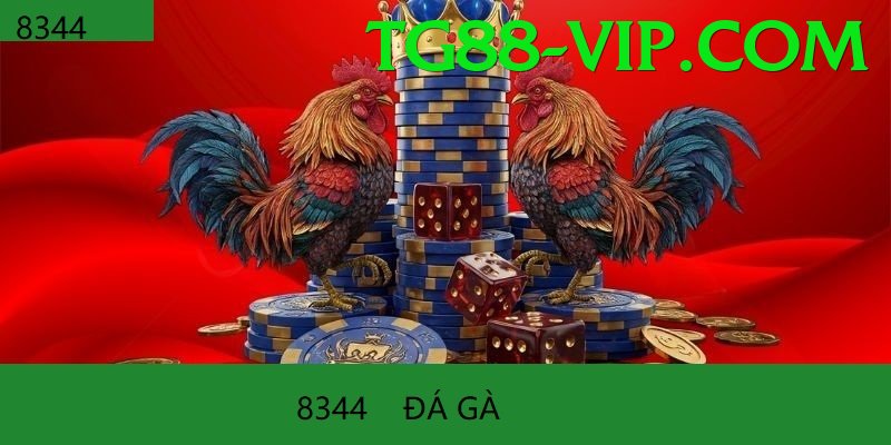 Trường Đấu Đá Gà Chuyên Nghiệp - FAQ